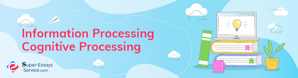 Information Processing / Cognitive Processing
